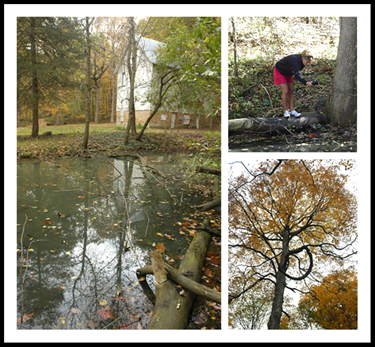 Collage of photos taken at the Post Sanctuary